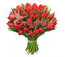 Букет 51 тюльпан красного цвета