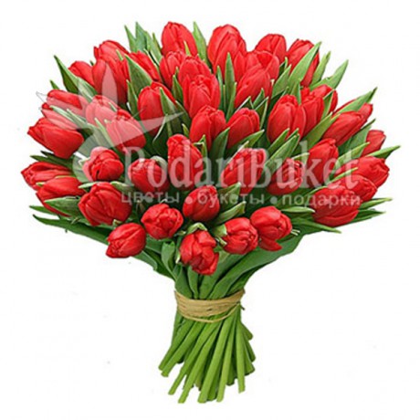 Букет 51 тюльпан красного цвета