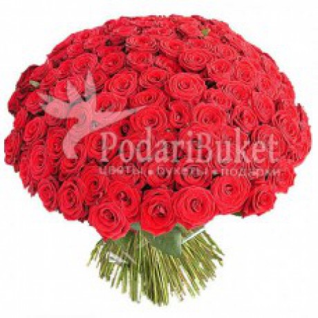 Букет 101 красная роза