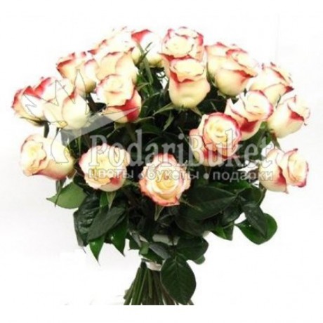 Букет 25 кремовых роз